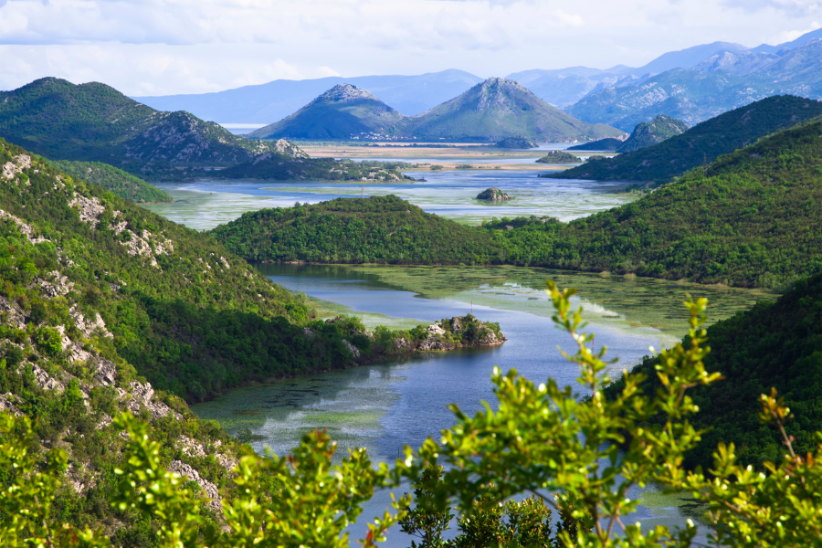 Lake Skadar Boat Trip