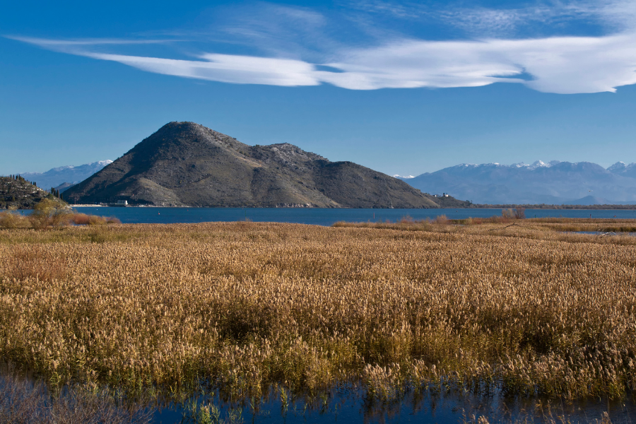 Lake Skadar Boat Trip