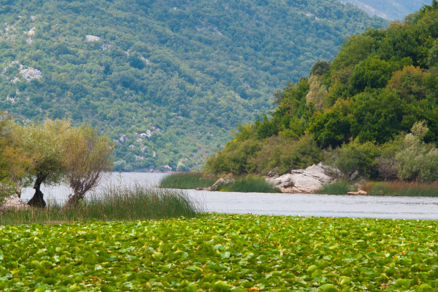 Lake Skadar Boat Trip