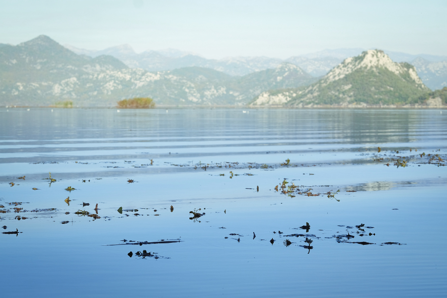 Lake Skadar Boat Trip