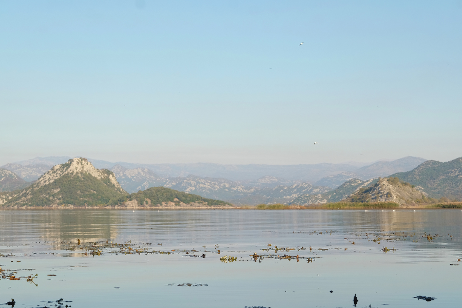 Lake Skadar Boat Trip