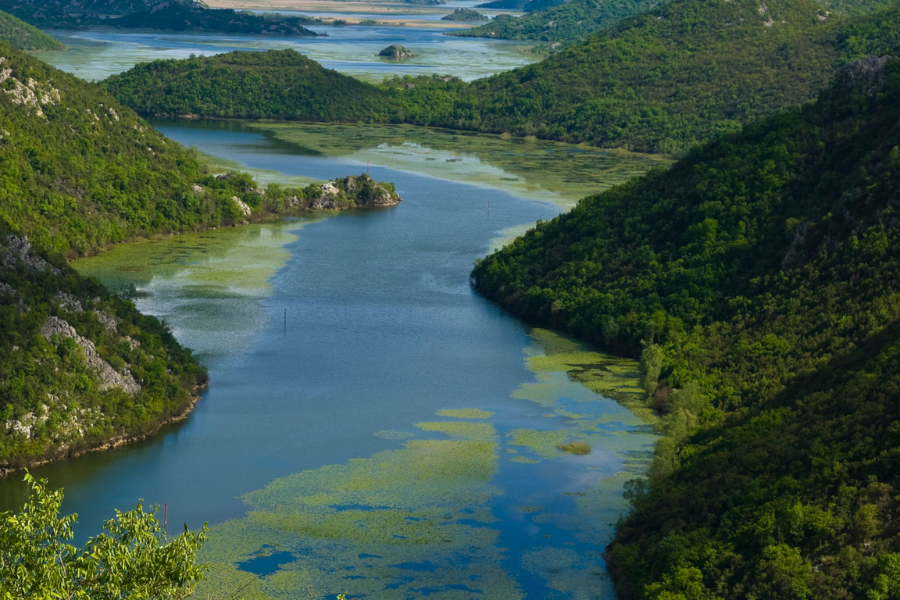 Lake Skadar Boat Trip