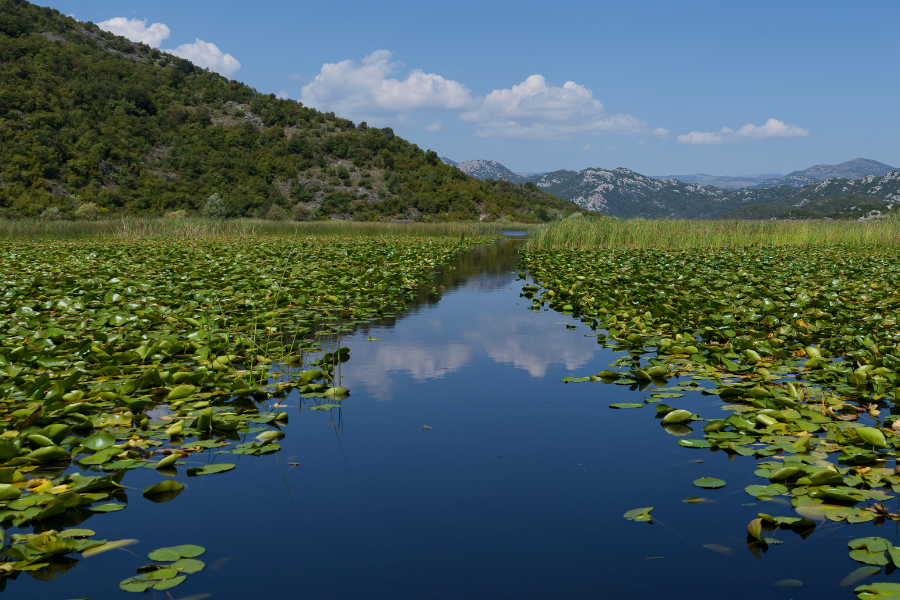 Lake Skadar Boat Trip