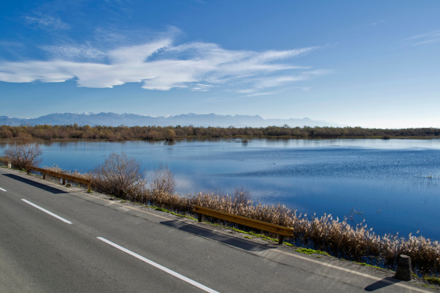 Lake Skadar Boat Trip