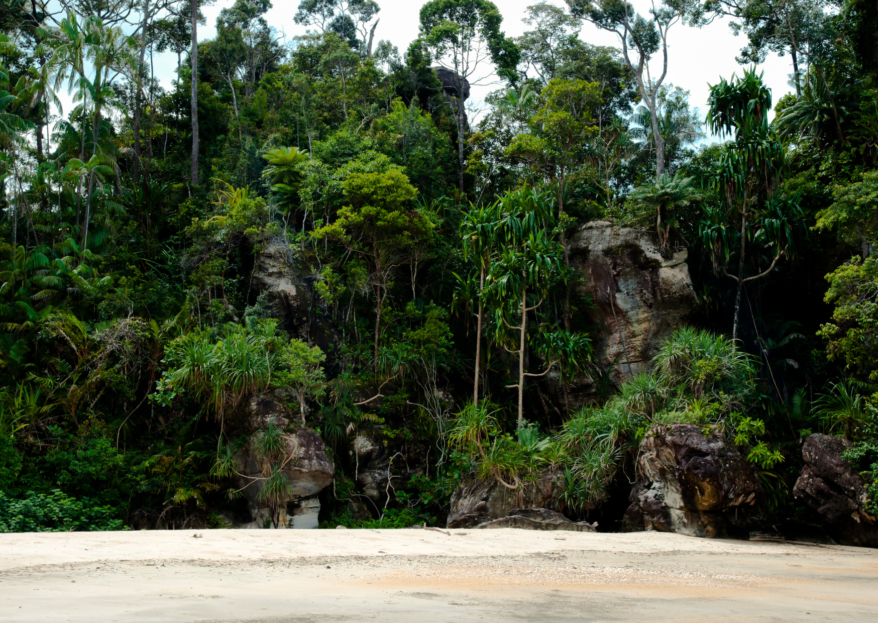 Tips voor een bezoek aan Bako National Park in Borneo Malesië 